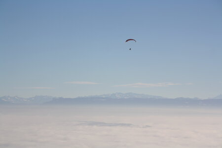 Coupe Hic-Poire, IMG_1958