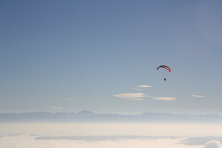 Coupe Hic-Poire, IMG_1961