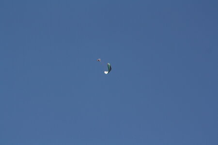 Coupe Hic-Poire, IMG_2006