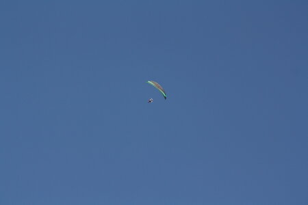 Coupe Hic-Poire, IMG_2008