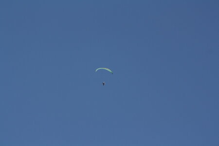 Coupe Hic-Poire, IMG_2009