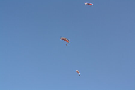 Coupe Hic-Poire, IMG_2108
