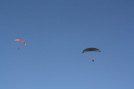 Coupe Hic-Poire, IMG_2110
