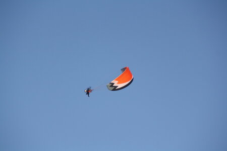 Coupe Hic-Poire, IMG_2140