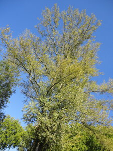 Tours Octobre 2011, DSC01377