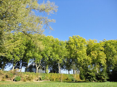Tours Octobre 2011, DSC01382