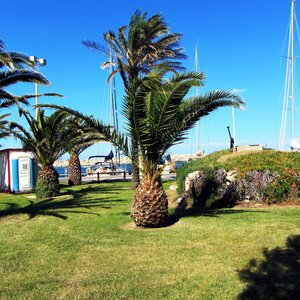 Collioure et alentours, Canet en roussillon