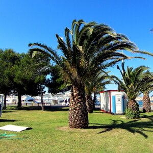 Collioure et alentours, Canet en roussillon