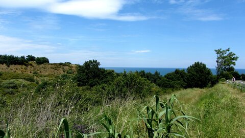 Collioure et alentours, Autour de Collioure
