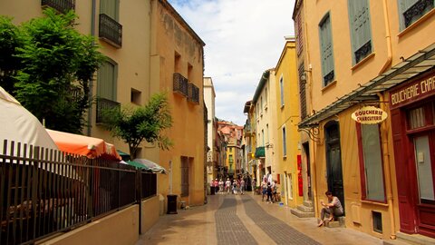 Collioure et alentours, Collioure