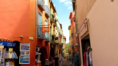 Collioure et alentours, Collioure