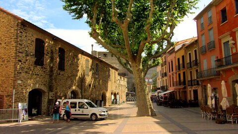 Collioure et alentours, Collioure
