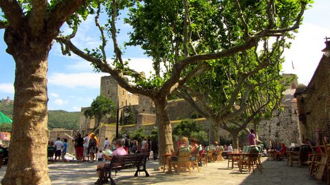 Collioure et alentours, Collioure