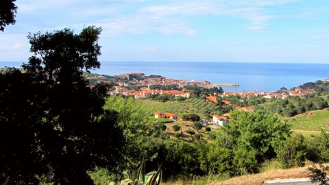 Collioure et alentours, Collioure