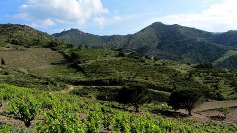 Collioure et alentours, Autour de Collioure