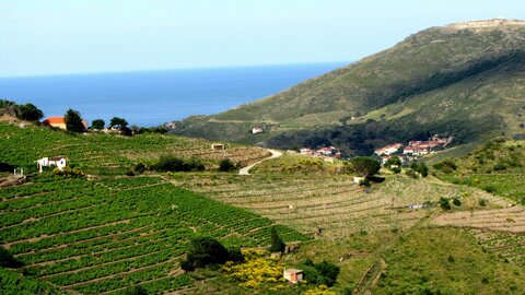 Collioure et alentours, Autour de Collioure
