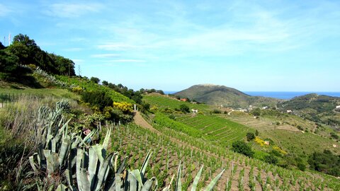 Collioure et alentours, Autour de Collioure