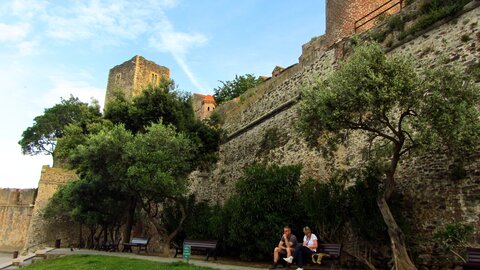Collioure et alentours, Collioure