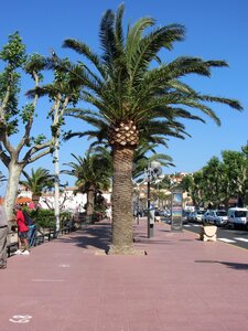 Saint Genis des fontaines,Les Orgues d'Ile sur Tet, Banyuls