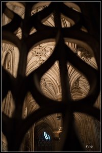 La Cathédrale d'Albi 01-2014, 