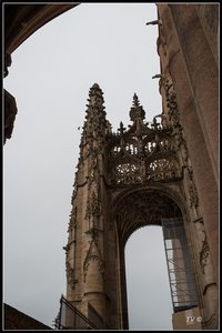 La Cathédrale d'Albi 01-2014, 