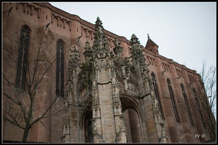 La Cathédrale d'Albi 01-2014, 