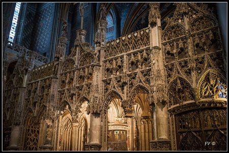 La Cathédrale d'Albi 01-2014, 