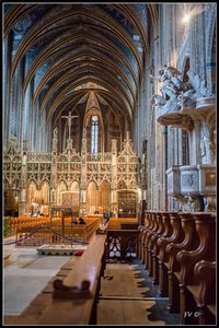 La Cathédrale d'Albi 01-2014, 