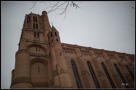 La Cathédrale d'Albi 01-2014, 