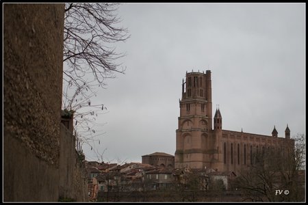 La Cathédrale d'Albi 01-2014, 