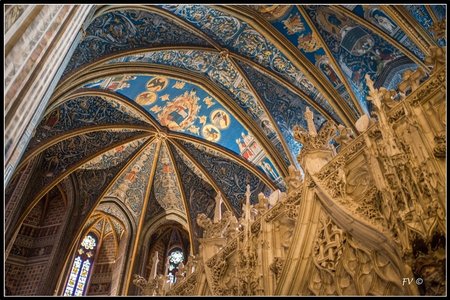 La Cathédrale d'Albi 01-2014, 