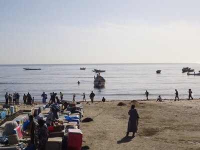 senegal, DSC01126