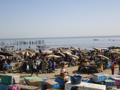 senegal, DSC01127