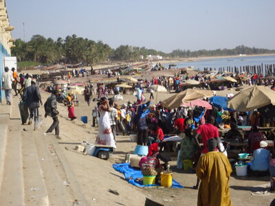 senegal, DSC01128