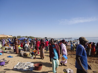 senegal, DSC01130