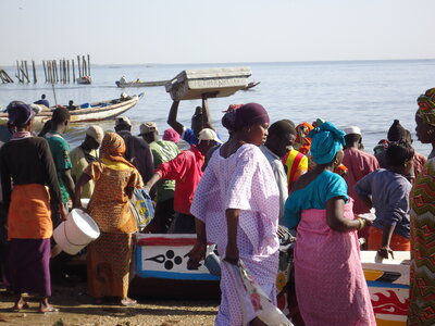 senegal, DSC01133