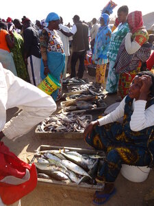 senegal, DSC01138