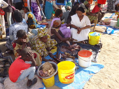 senegal, DSC01139