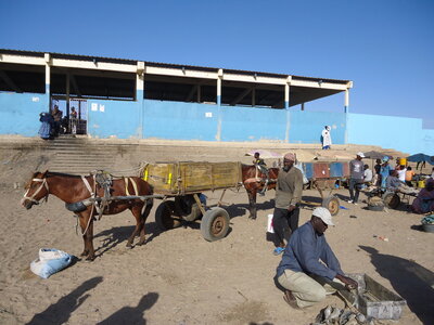 senegal, DSC01141