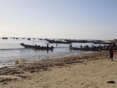 senegal, DSC01144