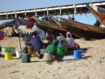 senegal, DSC01148