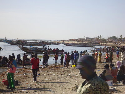 senegal, DSC01149