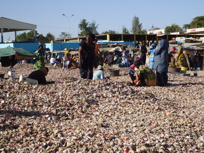 senegal, DSC01150