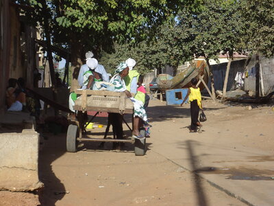 senegal, DSC01157