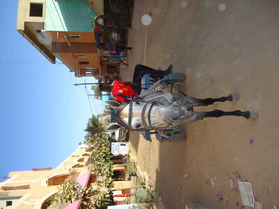 senegal, DSC01159