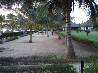 senegal, DSC01163
