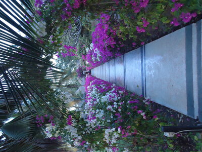senegal, DSC01164