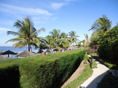senegal, DSC01167