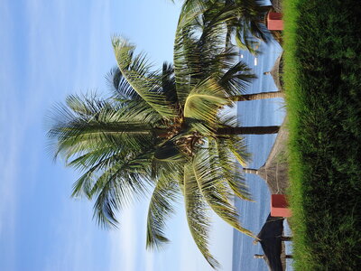 senegal, DSC01169