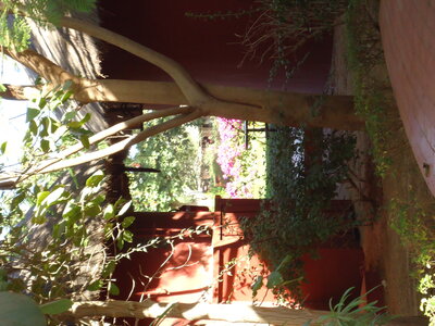 senegal, DSC01170